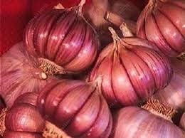 Dark Pink Garlic Seeds for Planting - 100 pcs